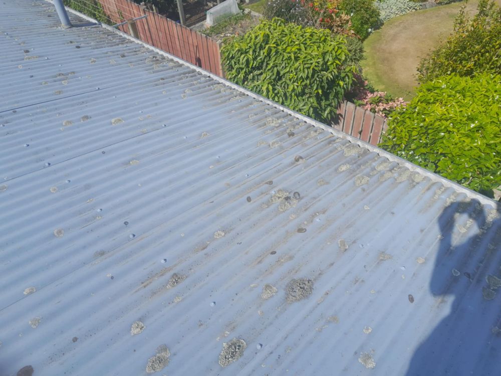 South Canterbury Roof Coatings photo